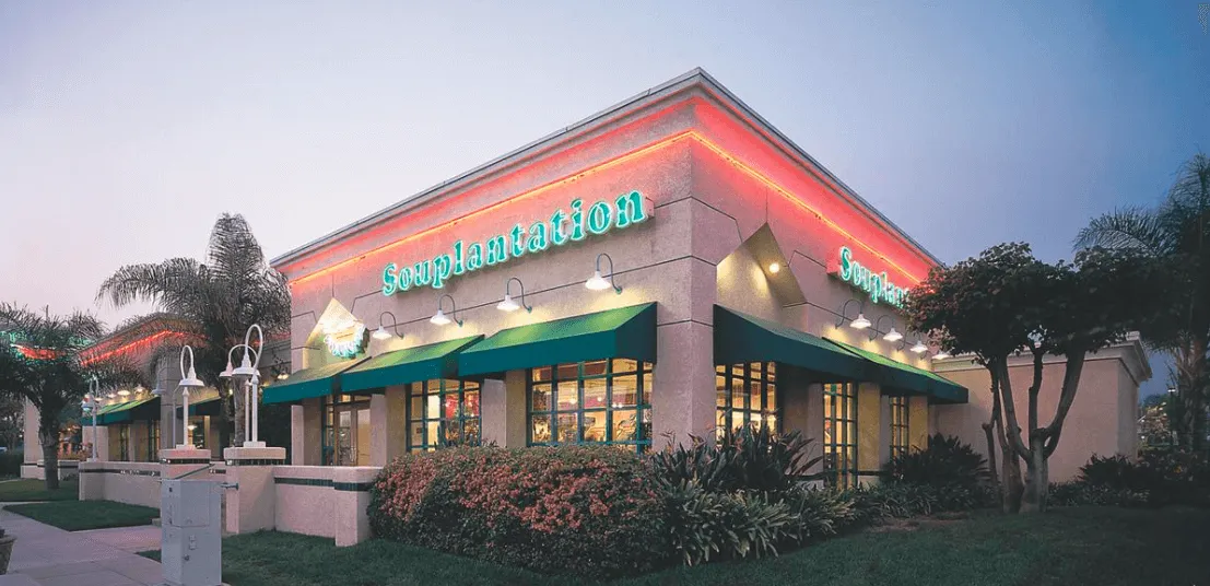 souplanttaion survey