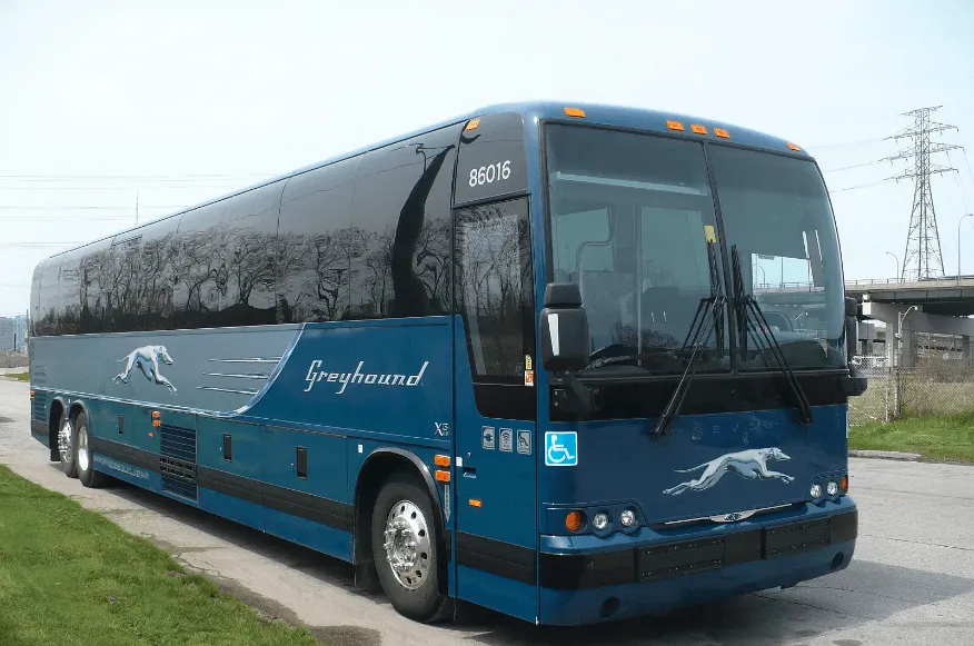 greyhound customer feedback survey