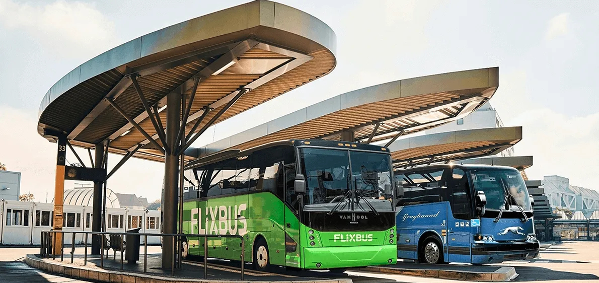 greyhound lines- greyhound survey