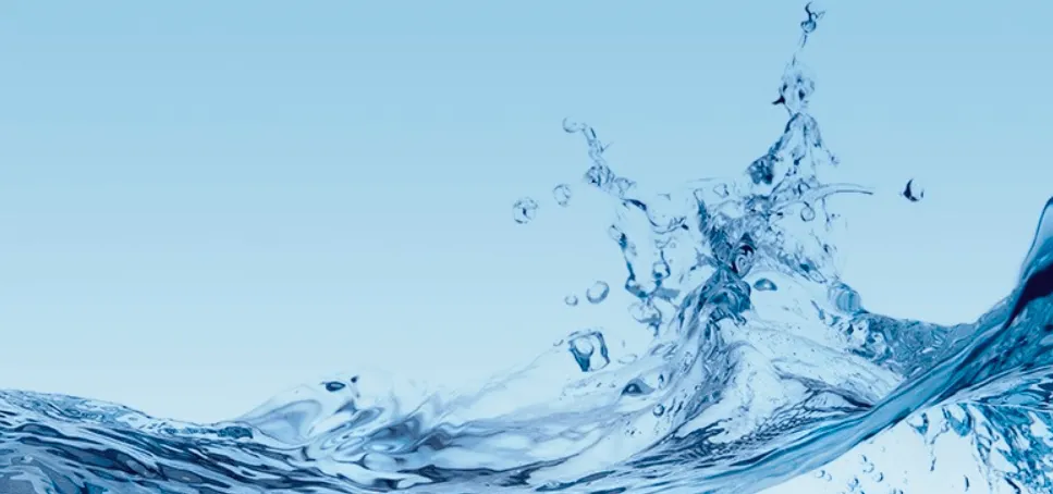 rainsoft feedback survey